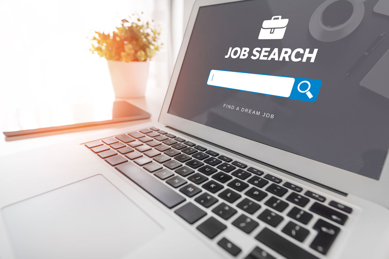 job search record sheet